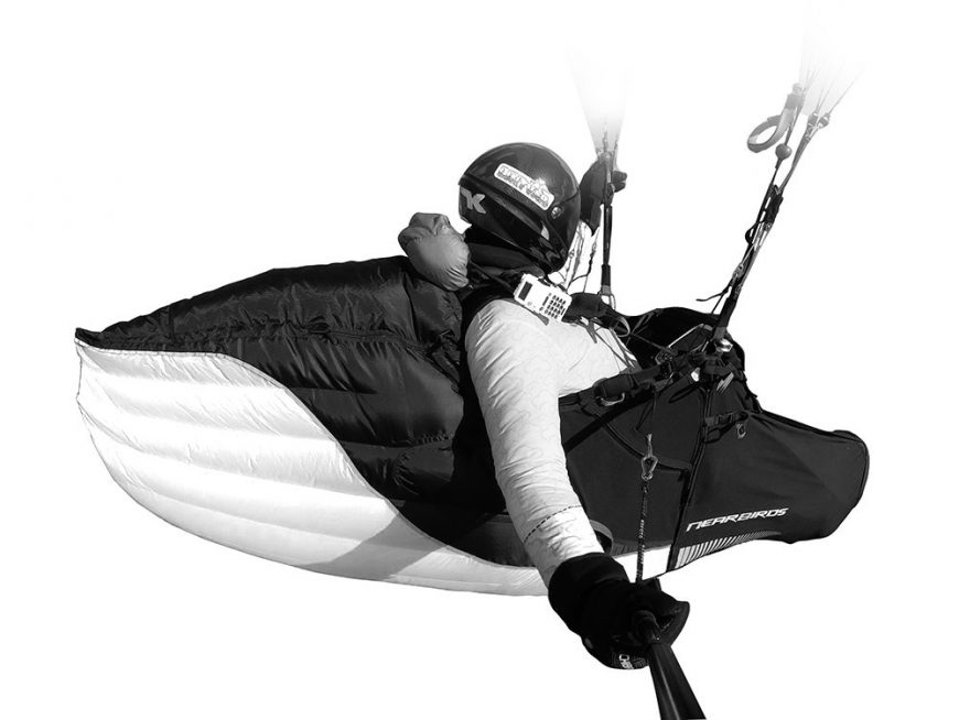 nearbirds genesis race white