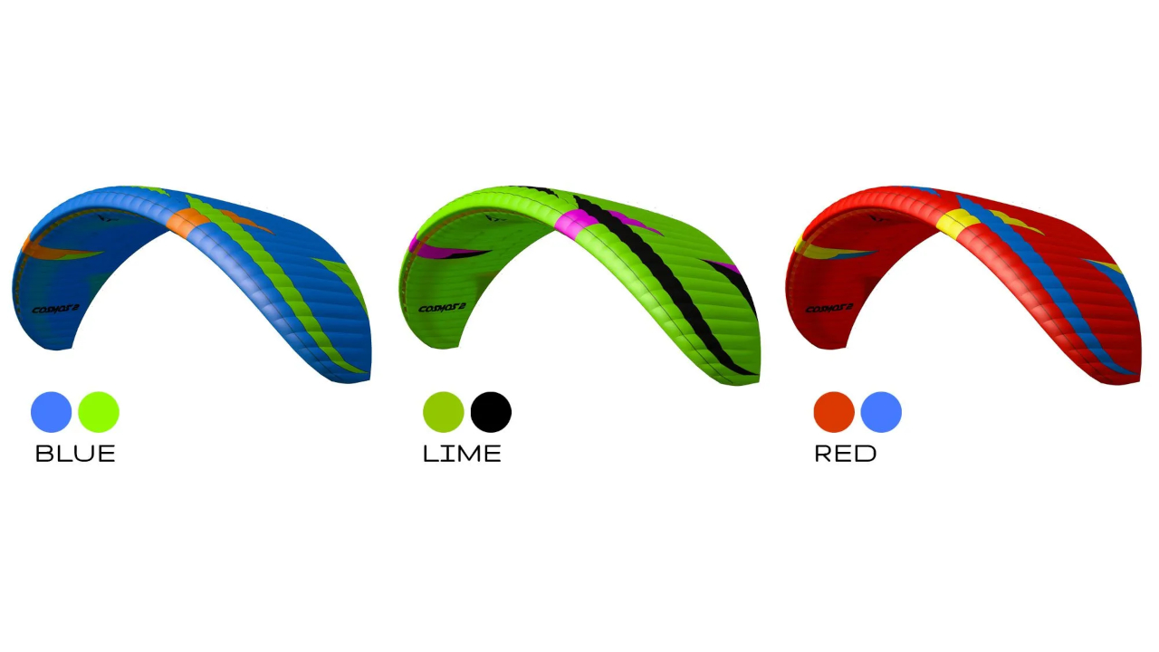 flow cosmos 2 05.jpg