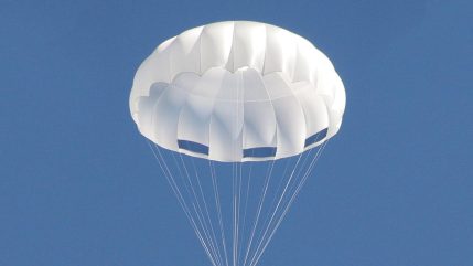 keeper fg 01.jpg