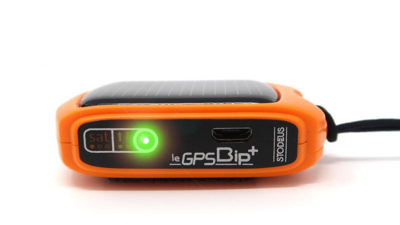 legpsbip plus 03.jpg