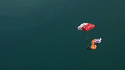 supair fluid light tandem 6.png